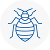 Bed Bug Extermination In Tewkesbury