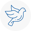 Bird Prevention Tewkesbury