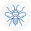 Tewkesbury Hornet Nest Removals