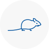 Mice Exterminators In Tewkesbury