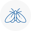 Moth Control Specialists In Tewkesbury